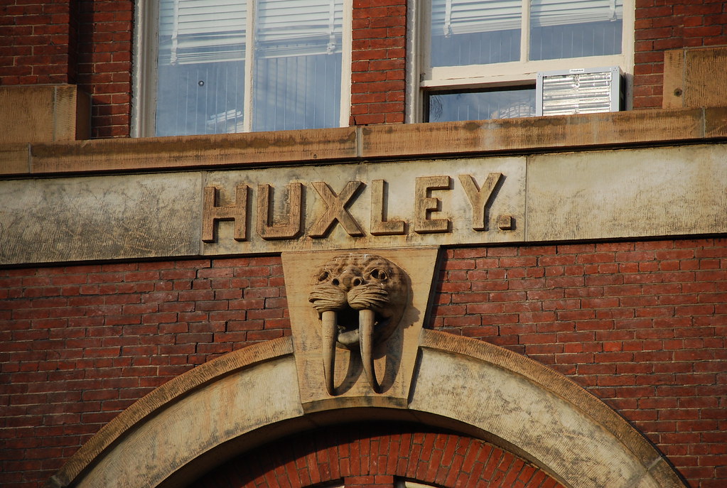 Huxley and Walrus on Brooks Hall Brooks Hall, University o… Flickr