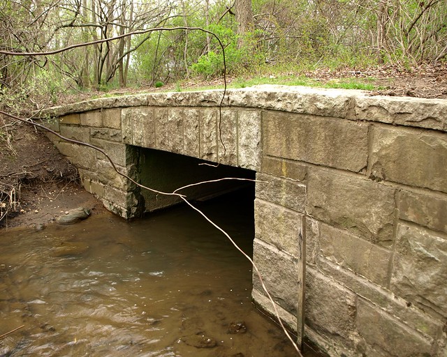 Wetland Nature Trail Bridge No. 2, Alley Pond Park, Queens, New York City a photo on Flickriver