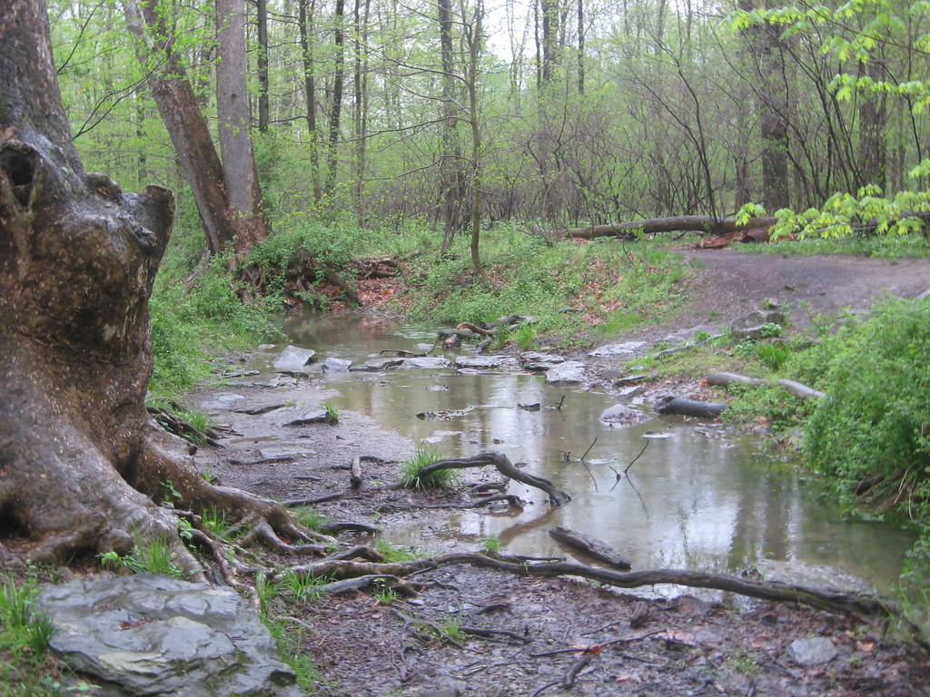 Peace Valley Park, Bucks County PA cormanosanchez Flickr