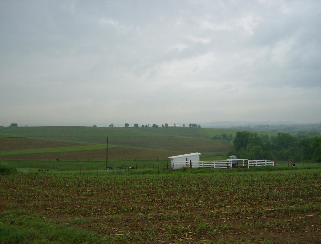 IA_Farm_1 Farm fields near RIckardsville, Iowa after a spr… Flickr