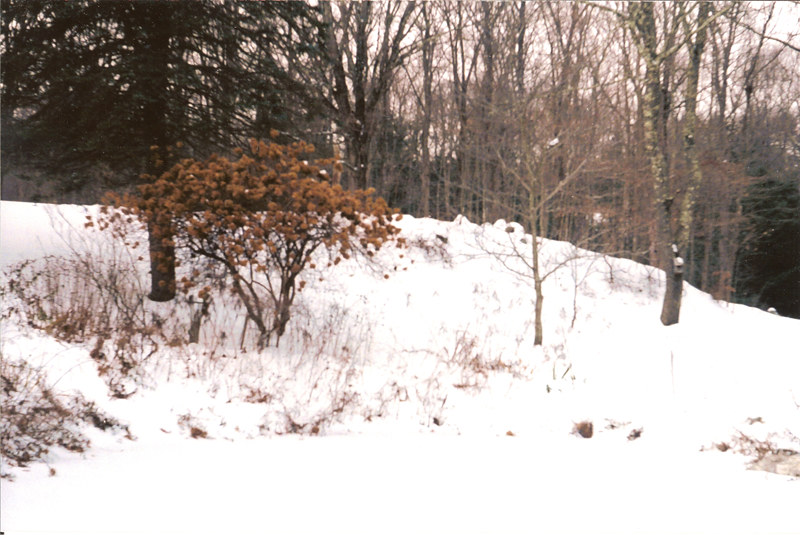 Christmas in Harwinton, Conn. Flickr