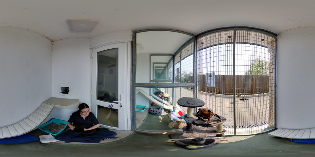 Bath Cats & Dogs Home (ix) See this 360ºx180º equirectangu… Flickr