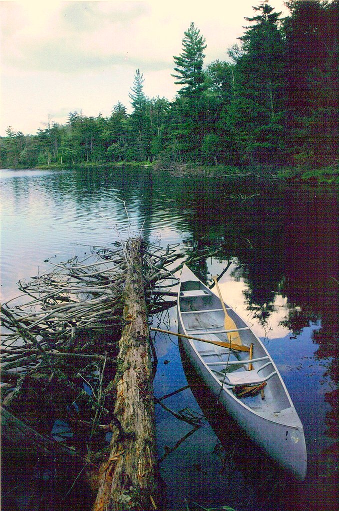 Adirondack Canoe A 10 day venture into the Adirondacks. Tr… Flickr
