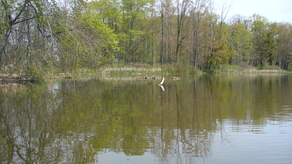 Black Creek Churchville 5 6 2008 Kayak fishing trip above … Flickr