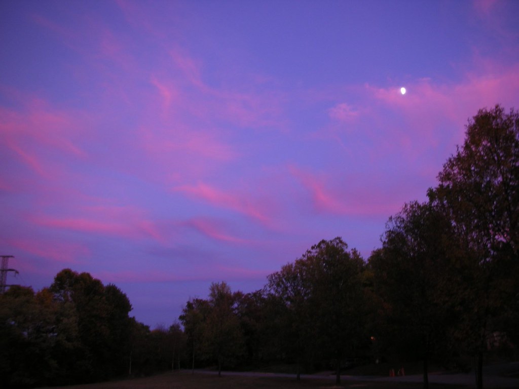 Sunset in the Park Lake Daniel Park, Greensboro, NC. If yo… Flickr