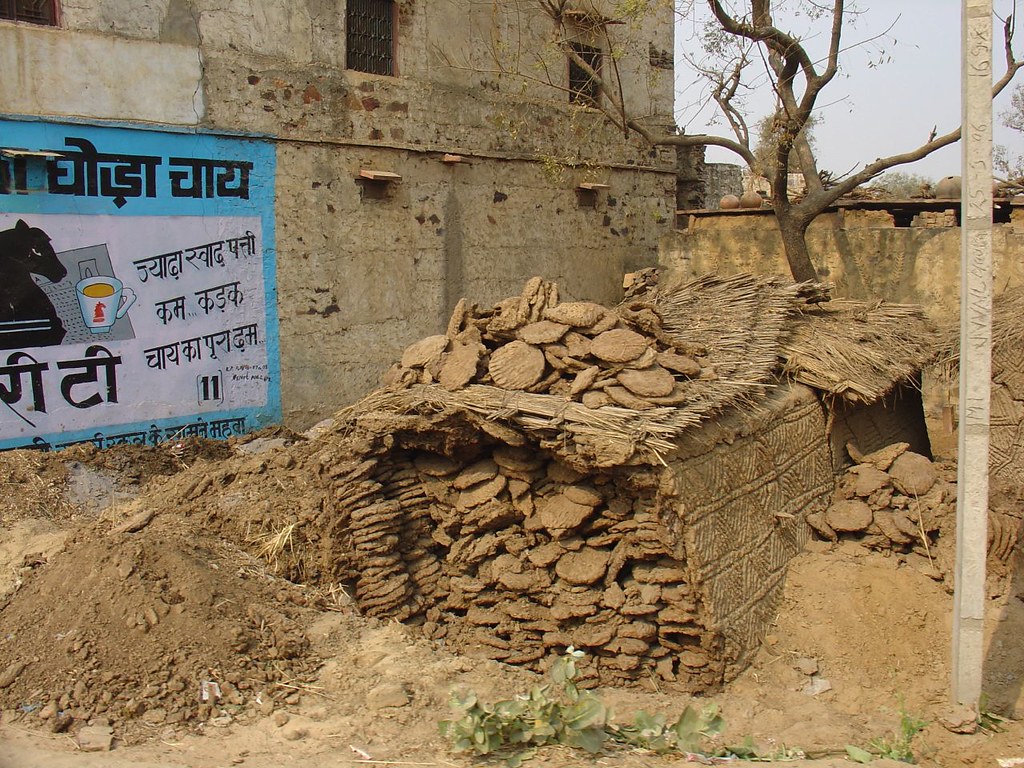Cow dung saved and shaped for burning Rajasthan Cow dung s… Flickr
