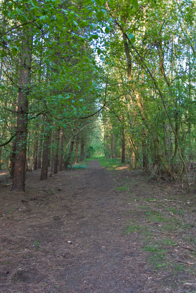 Wilstead Wood, Bedfordshire _G103920 Wilstead Wood (Haynes… Flickr
