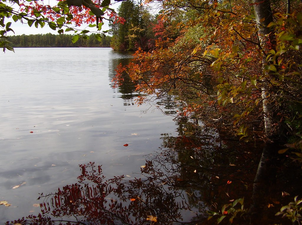 Lake Atsion Wharton State Forest, Shamong, New Jersey CarlaMia Flickr