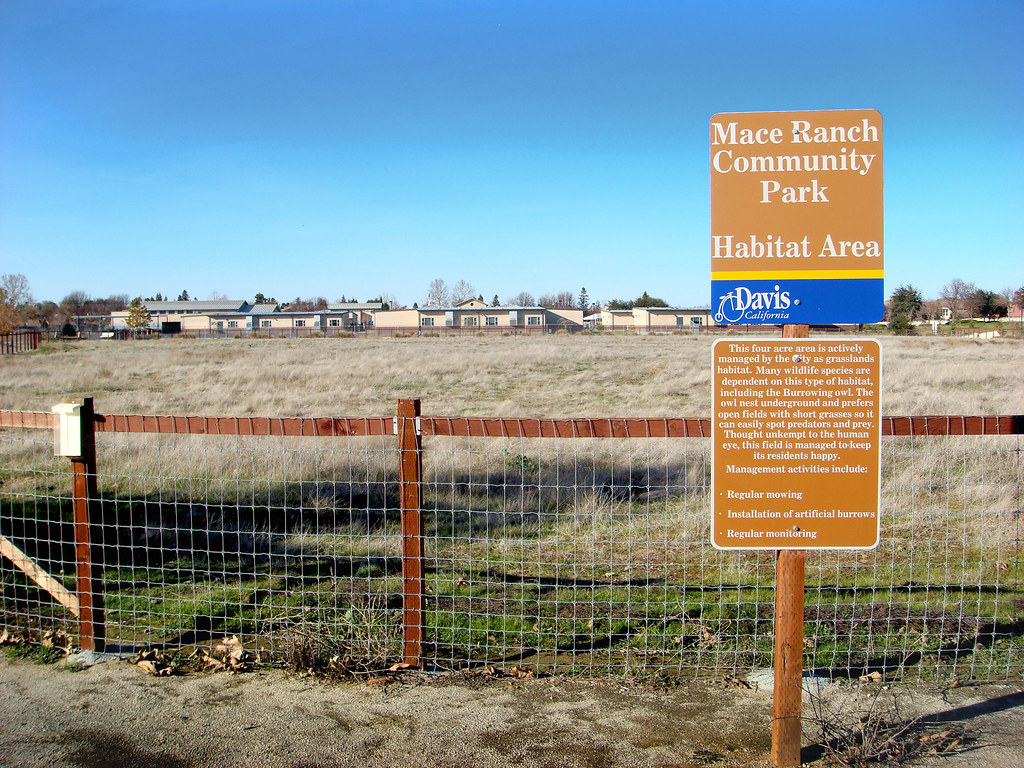 Mace Ranch Community Park jmaltezo Flickr