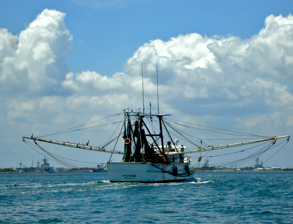 Shimp Boat Deep sea fishing in Jacksonville Florida Cheryl Connolly