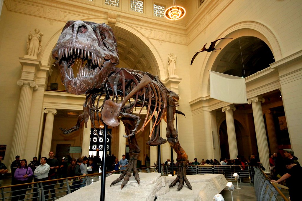 TRex Museum Field Museum TRex LW² Flickr