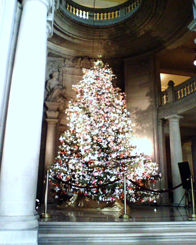 city hall xmas tree of the now hep Flickr