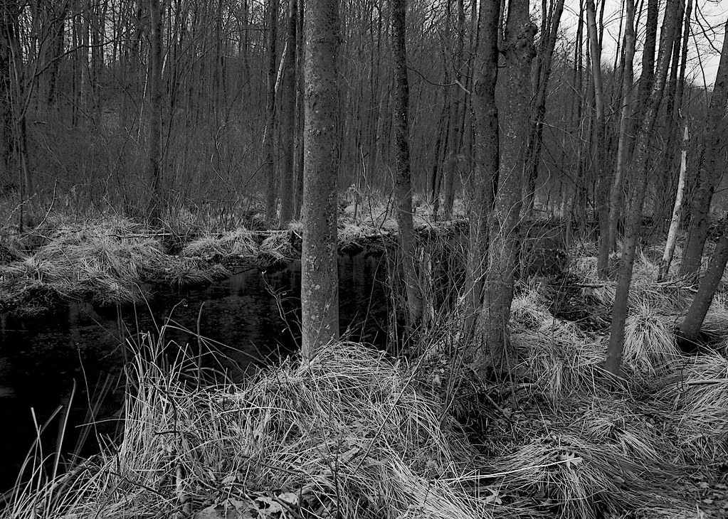 North Spectacle Lake Drainage Kent, Connecticut. This is t… Flickr