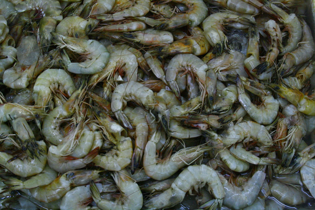 _MG_5641 karama fish market, dubai fumigene Flickr