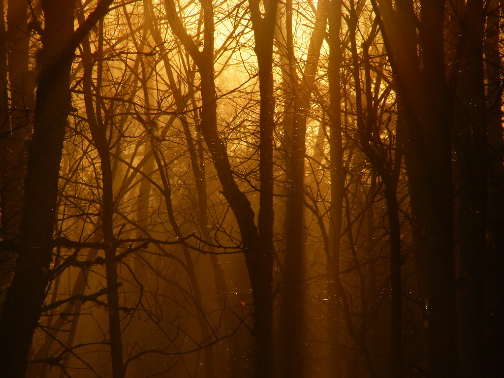 woods sam welch Flickr