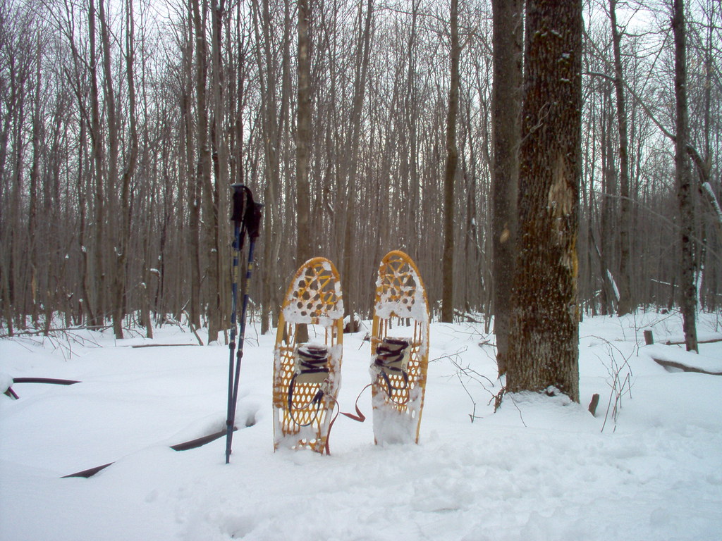 3010 Snowshoeing in the Adirondacks Im000877.Jpg Visit