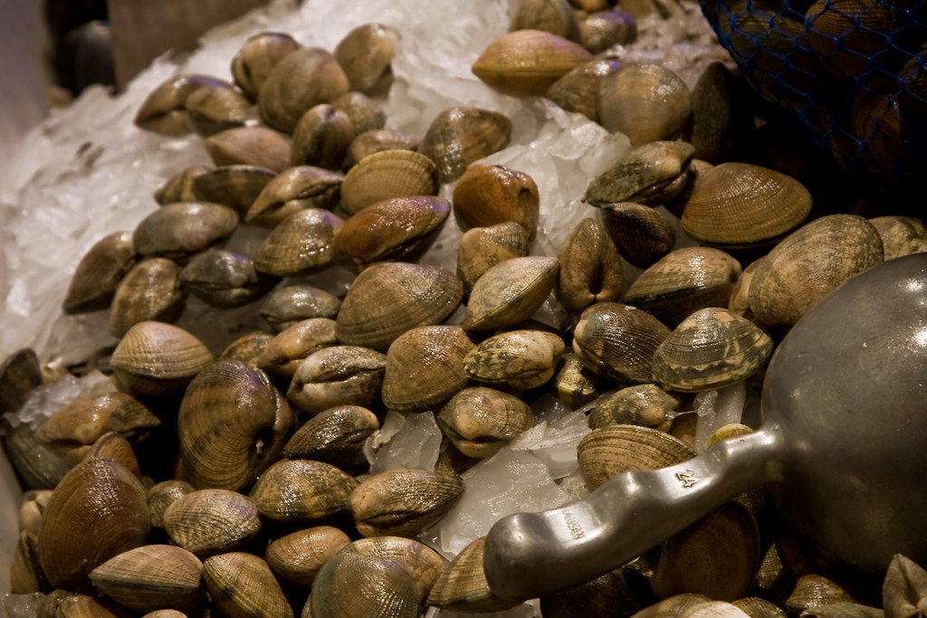 Clams Clams at Pike Place Market, Seattle Benson Kua Flickr