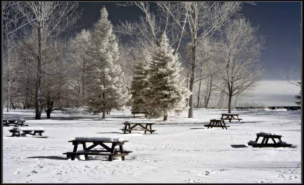 Ashbridges Bay Picnic Area 1 Frank Lemire Flickr