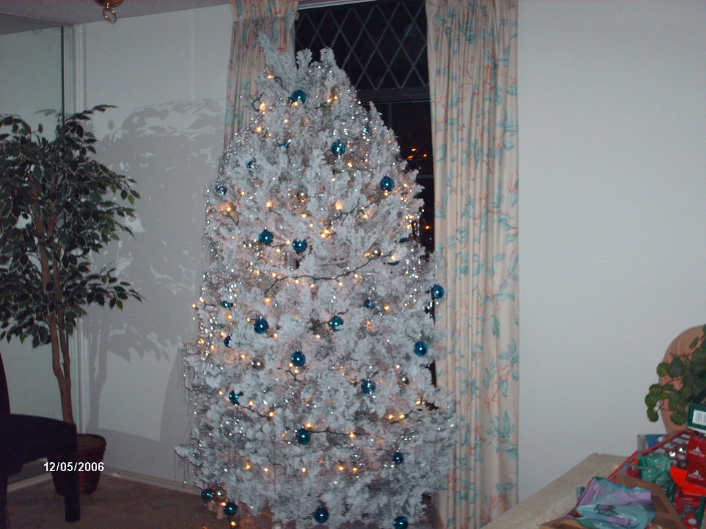 Christmas tree on Cordova 2006 Teresa's photo album Flickr