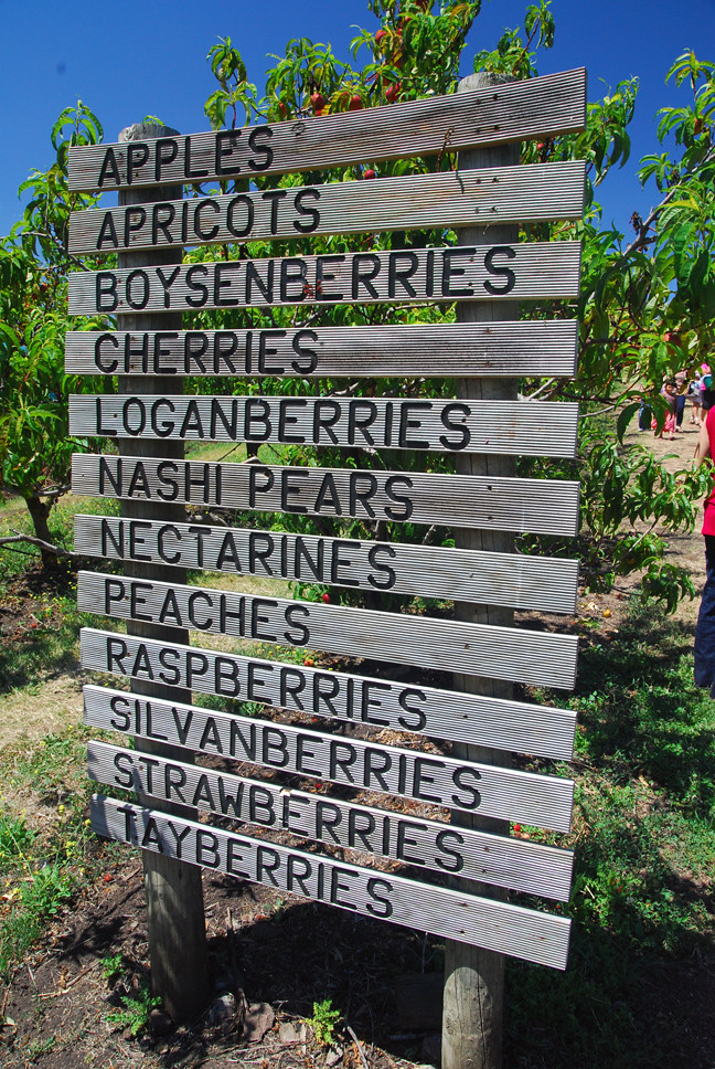 Sorell Fruit Farm, Tasmania paulnpg Flickr