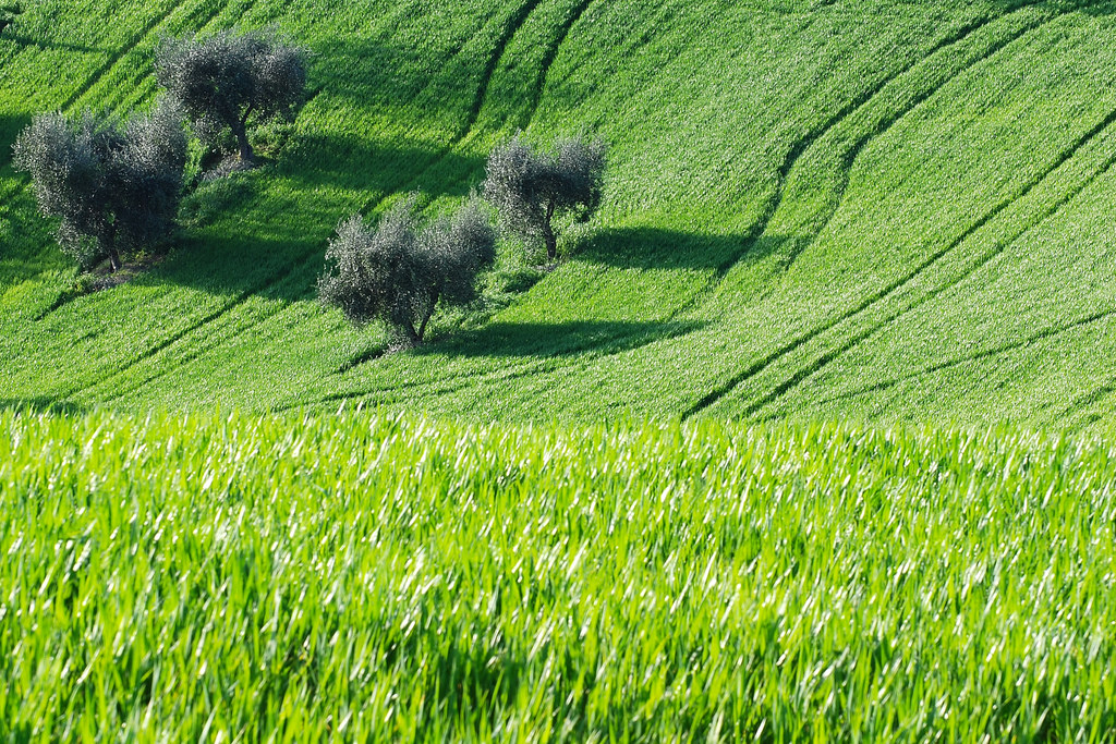 Green grass and high tides forever skelter Flickr