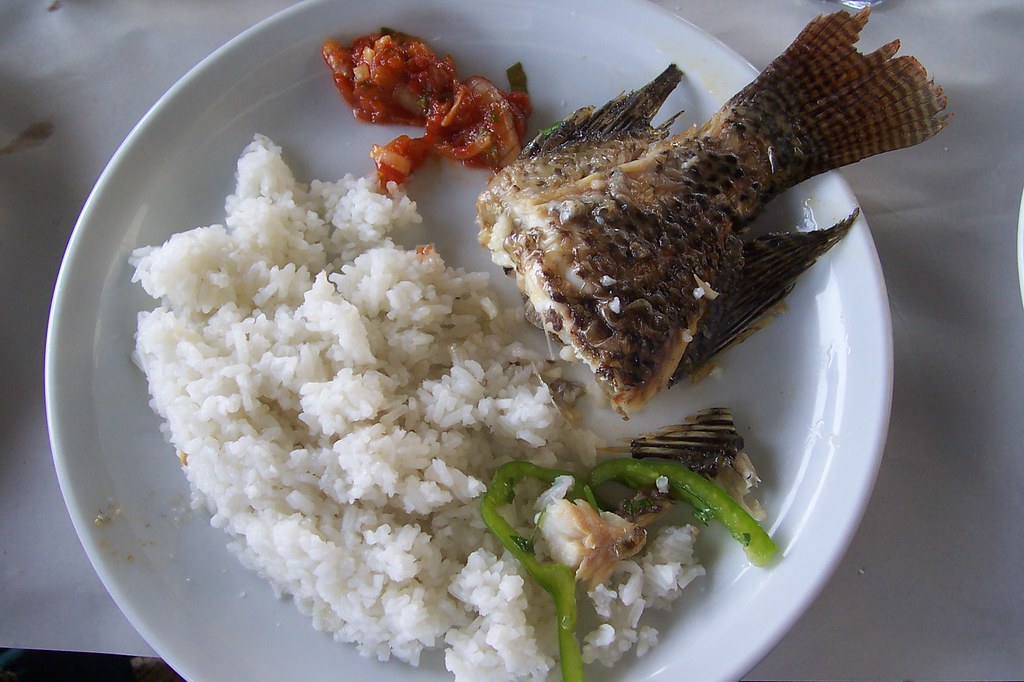 St Peter's Fish coin in mouth of fish 4 tax thomasrosemary Flickr