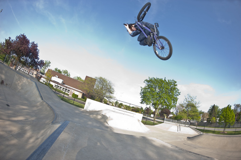 Joe Battaglia Mount Prospect, IL Terry