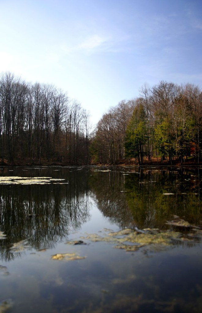 _MG_5388a Willett's Pond Bill Hansen Flickr