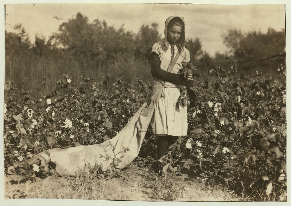 No Known Restrictions Picking Cotton by Lewis W. Hine, 19… Flickr