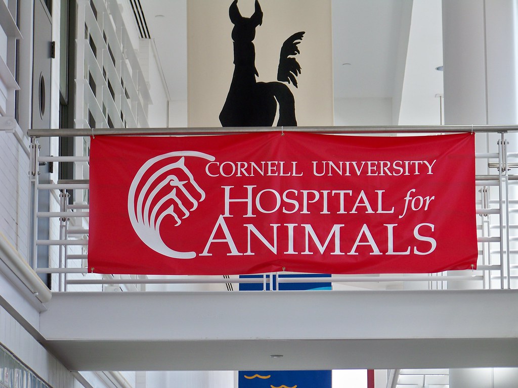 The Cornell Vet School, April 2010 a59rambler Flickr