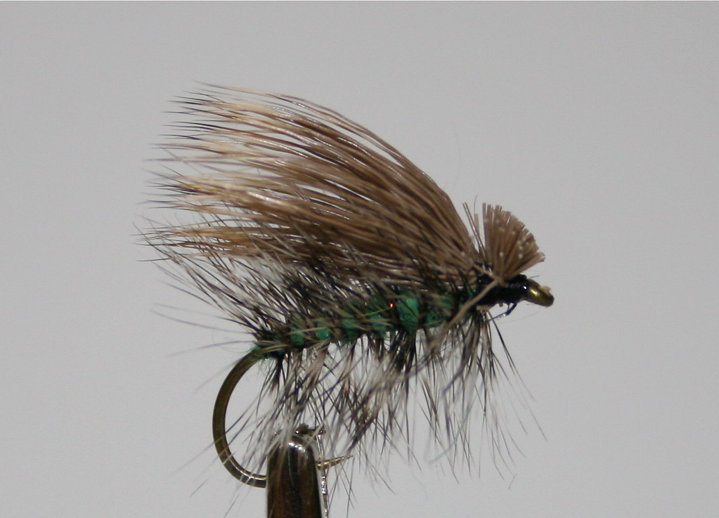 Green McKenzie River Caddis mattstansberry Flickr