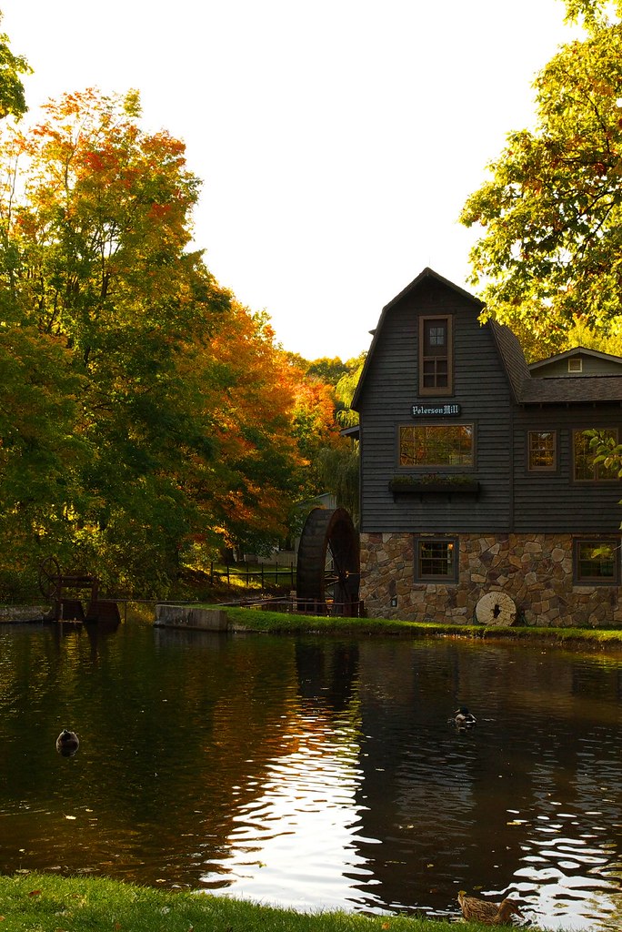 Peterson's Mill Rachel Flickr