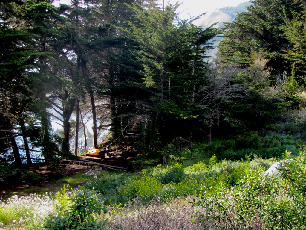 Camping at Julia Pfeiffer Burns State Park Camping at Juli… Flickr