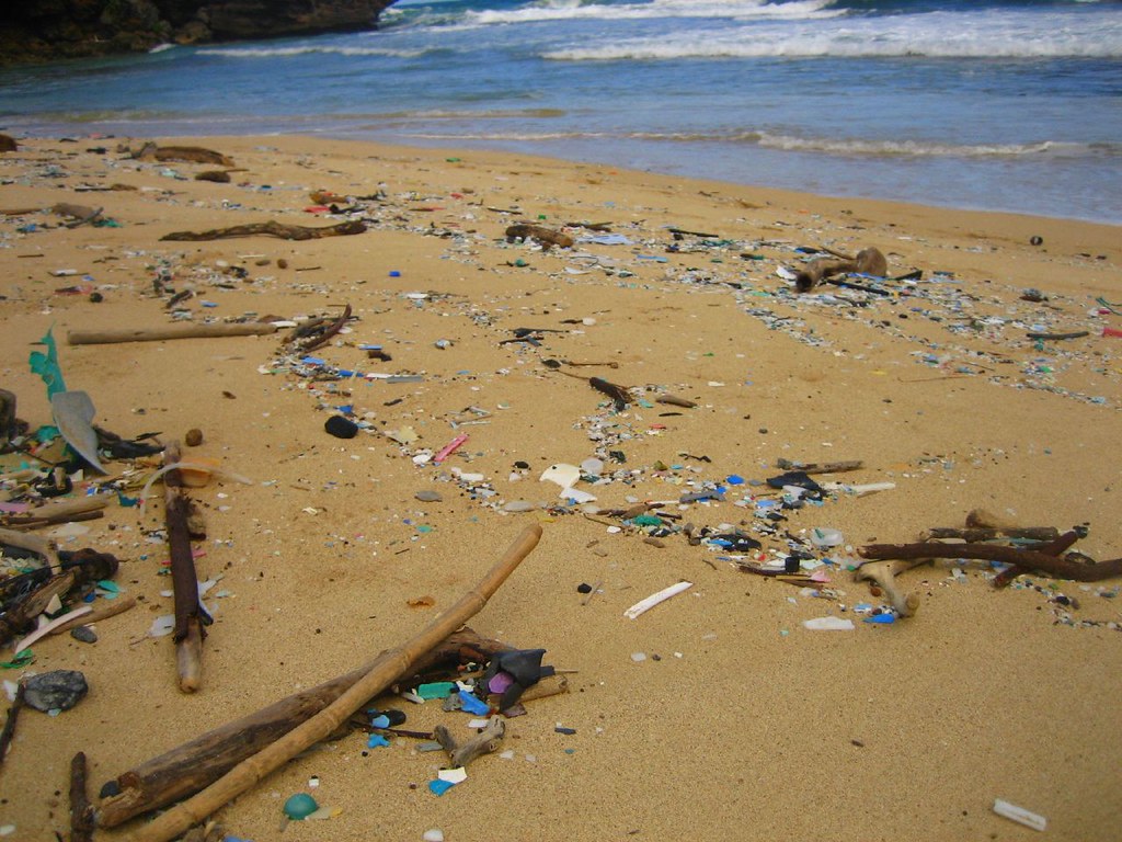 plastic beach Laie Beach. Oahu, Hawaii. miwa. Flickr