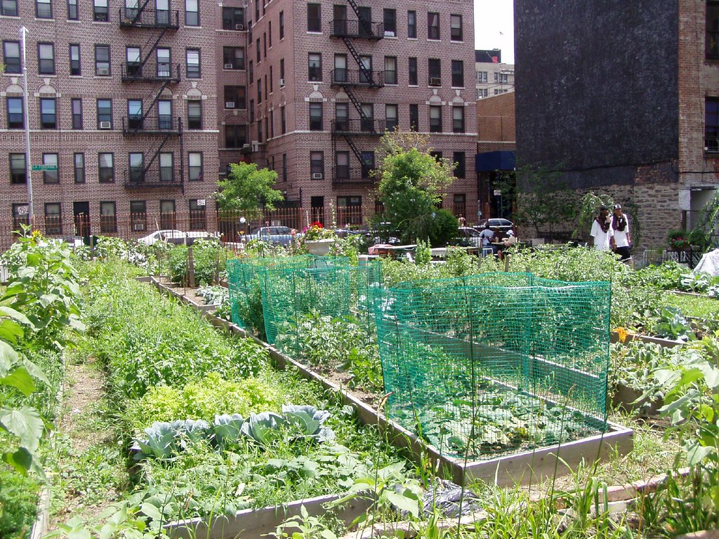Tremont Community Garden, Bronx A huge garden that is well… Flickr