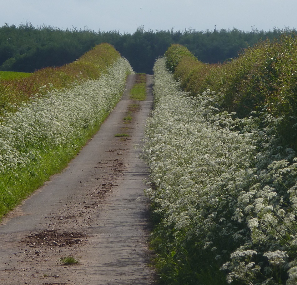 Whitwell Road Following the county boundary between Derbys… Flickr