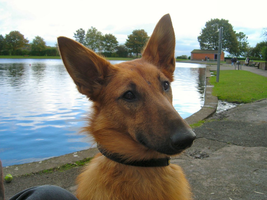clarence park lido, bury, england, taken by mrwheezemsn.c… Flickr
