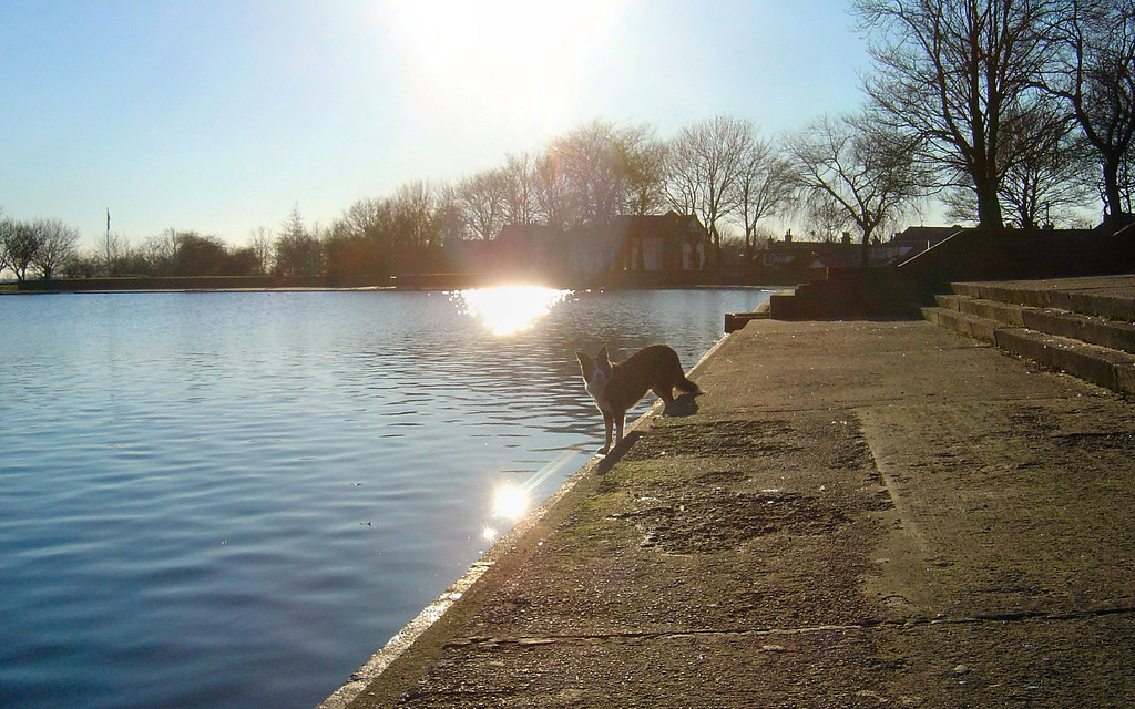 clarence park lido, bury, england, taken by mrwheezemsn.c… Flickr