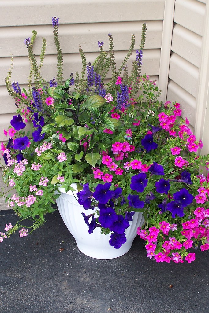 Beauty Mixed pot I bought it was so Arlene Brenneman