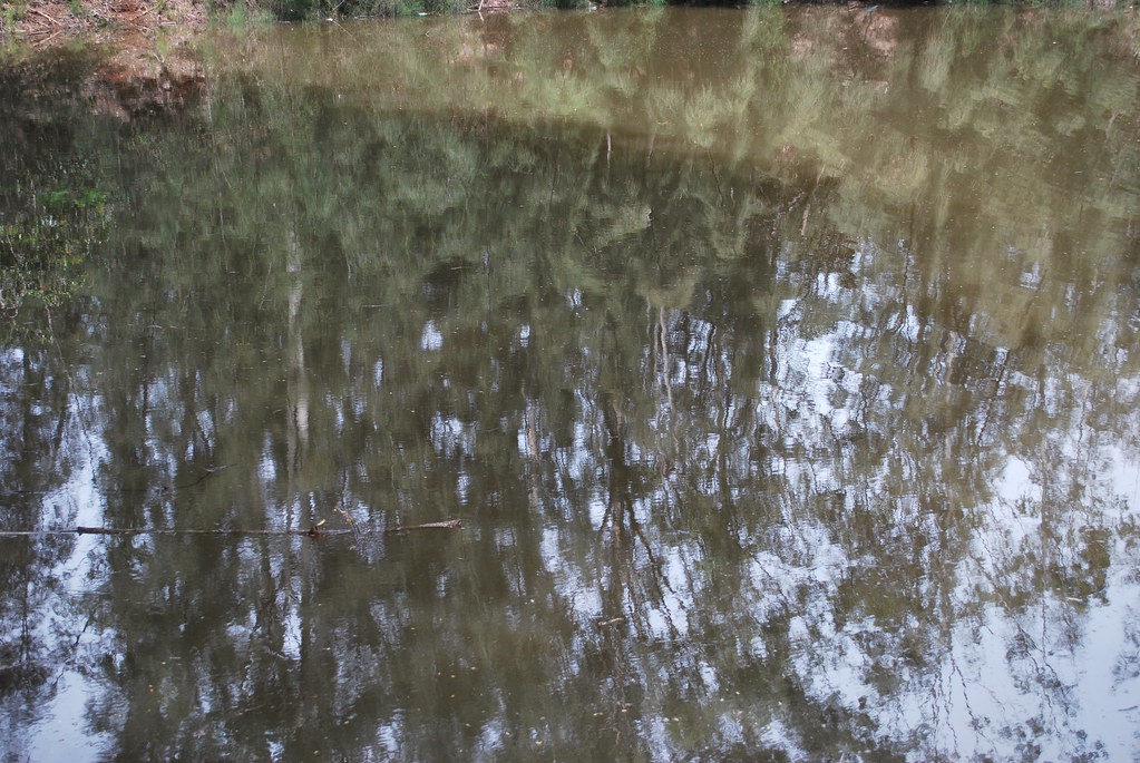 DSC_7059 Lake Wilson Boat Ramp Dav Flickr