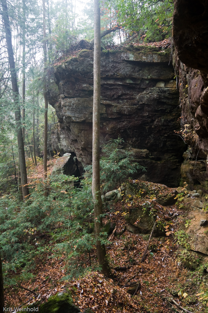 Sipsey Wilderness Area blogged here Kris Flickr