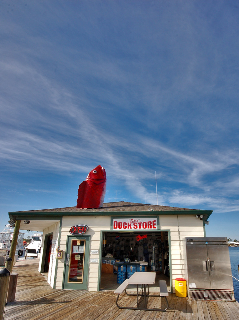 Flower Shops Orange Beach Al at Bruce Wright blog