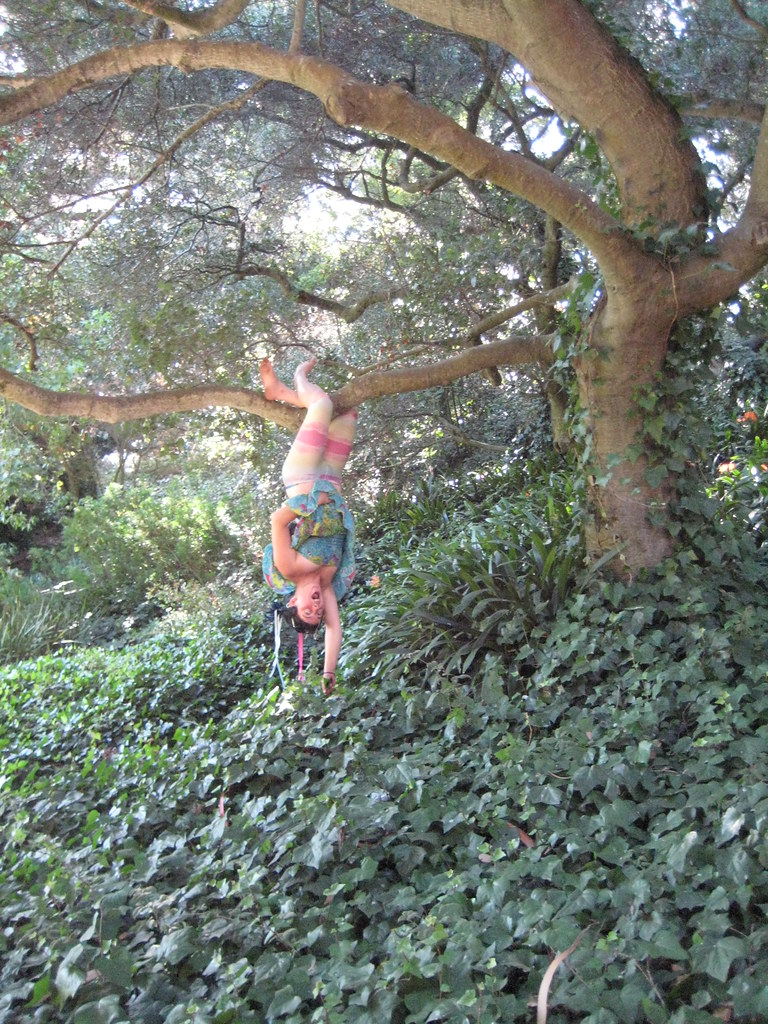 img_1573 my my, what a strange fruit hanging from this tre… Flickr