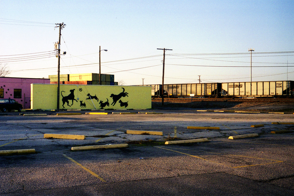 Dog Day Care and Train Norfolk, Virginia Fujifilm