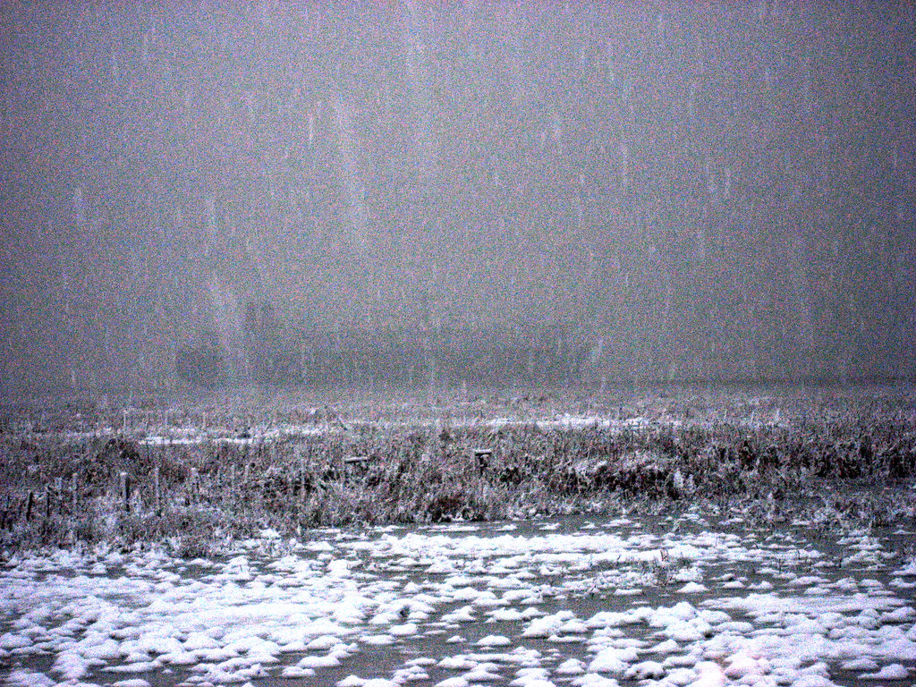 snow blanket.. Steveston near Richmond, British Columbia, … iwona