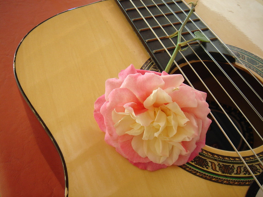 GUITAR & ROSE marlenells Flickr