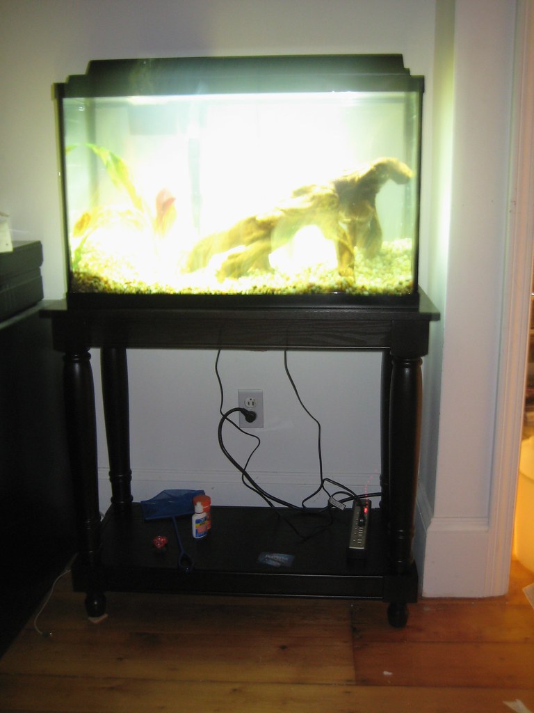Never buy a metal aquarium stand The problem is that the m… Flickr
