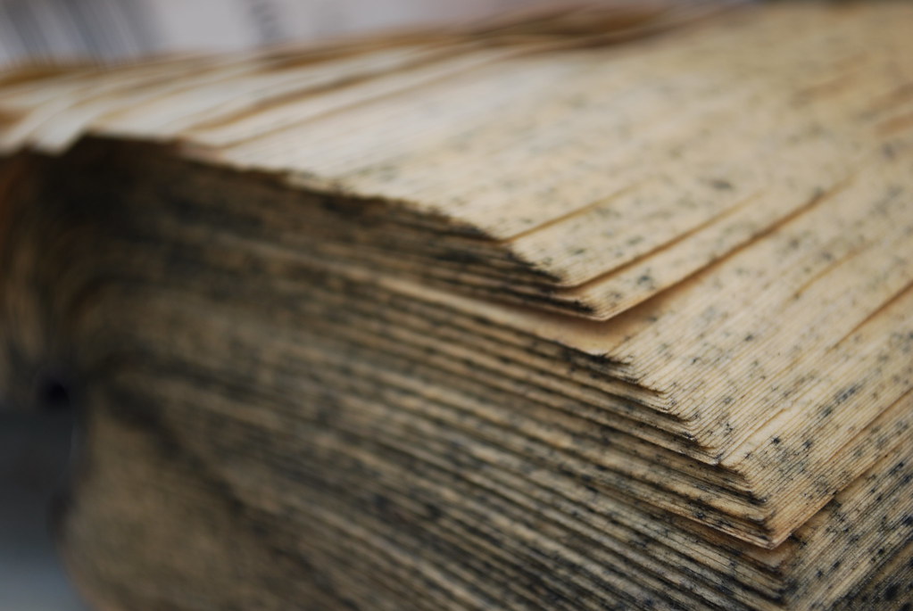 DSC_0005 Moldy book Stacey Swinehart Flickr