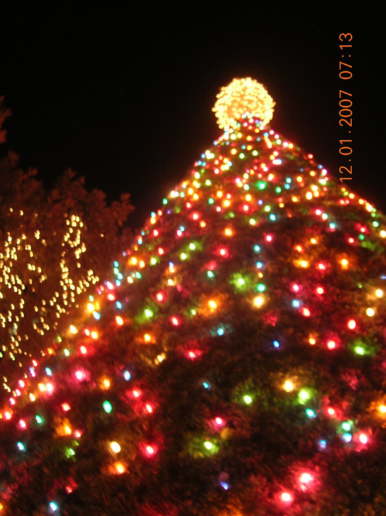 The Tree II The Christmas tree in downtown Richmond Amanda Sue Flickr