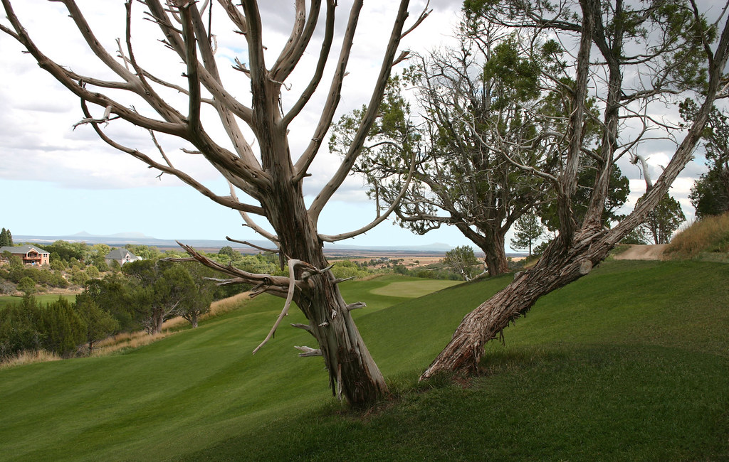 The Hideout Golf Course, Monticello Utah, Par 3 C Chuck (Dennis